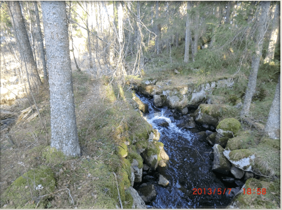 Damm vid Trehörningen