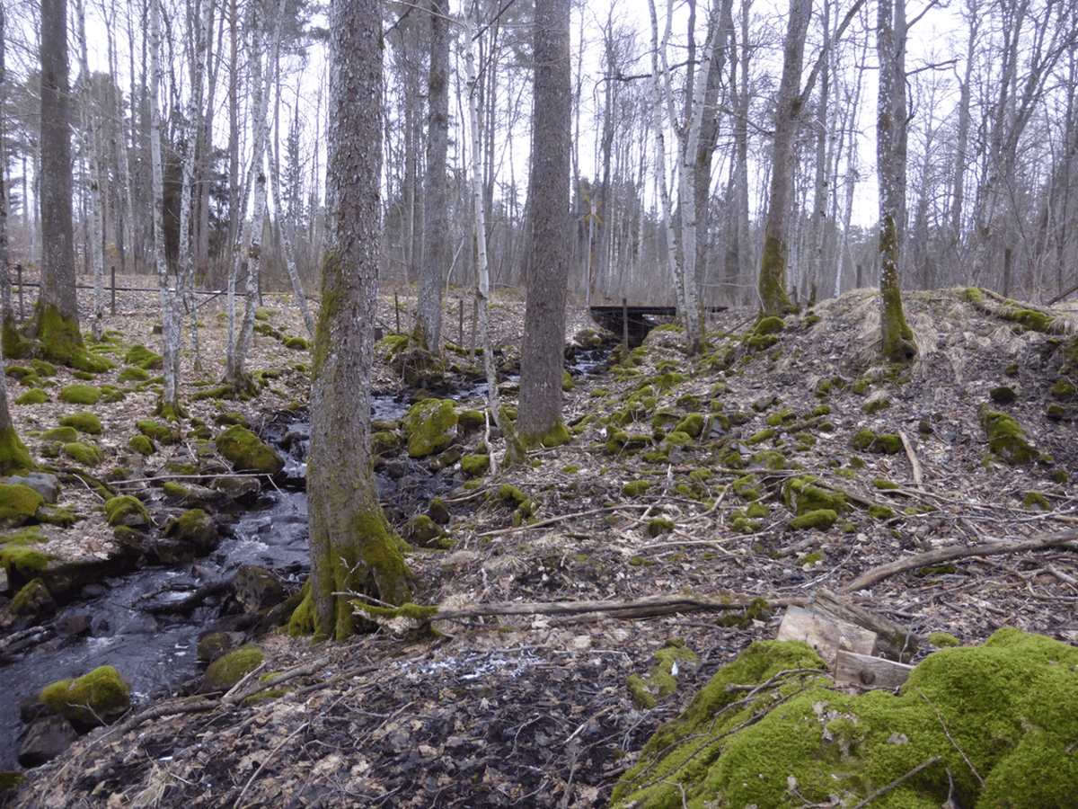 Krangruvanskonsthjul