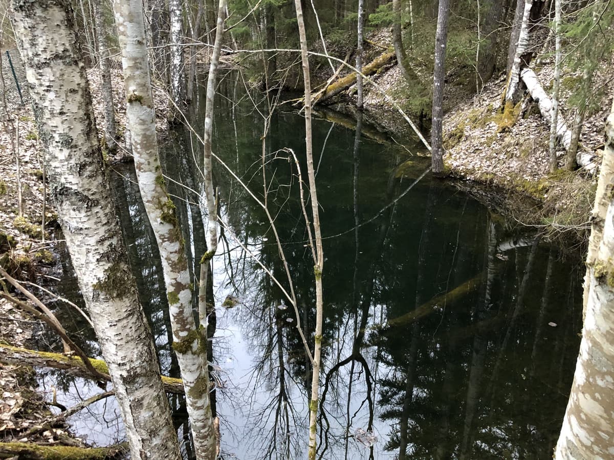 Isakaksgruvorna, Norra och Södra