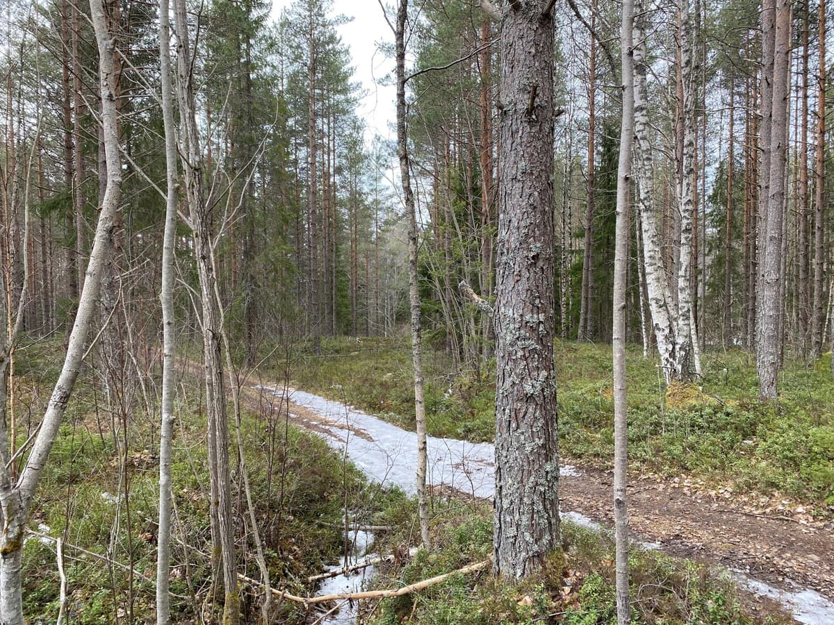 Jordåskärrets Konsthjul