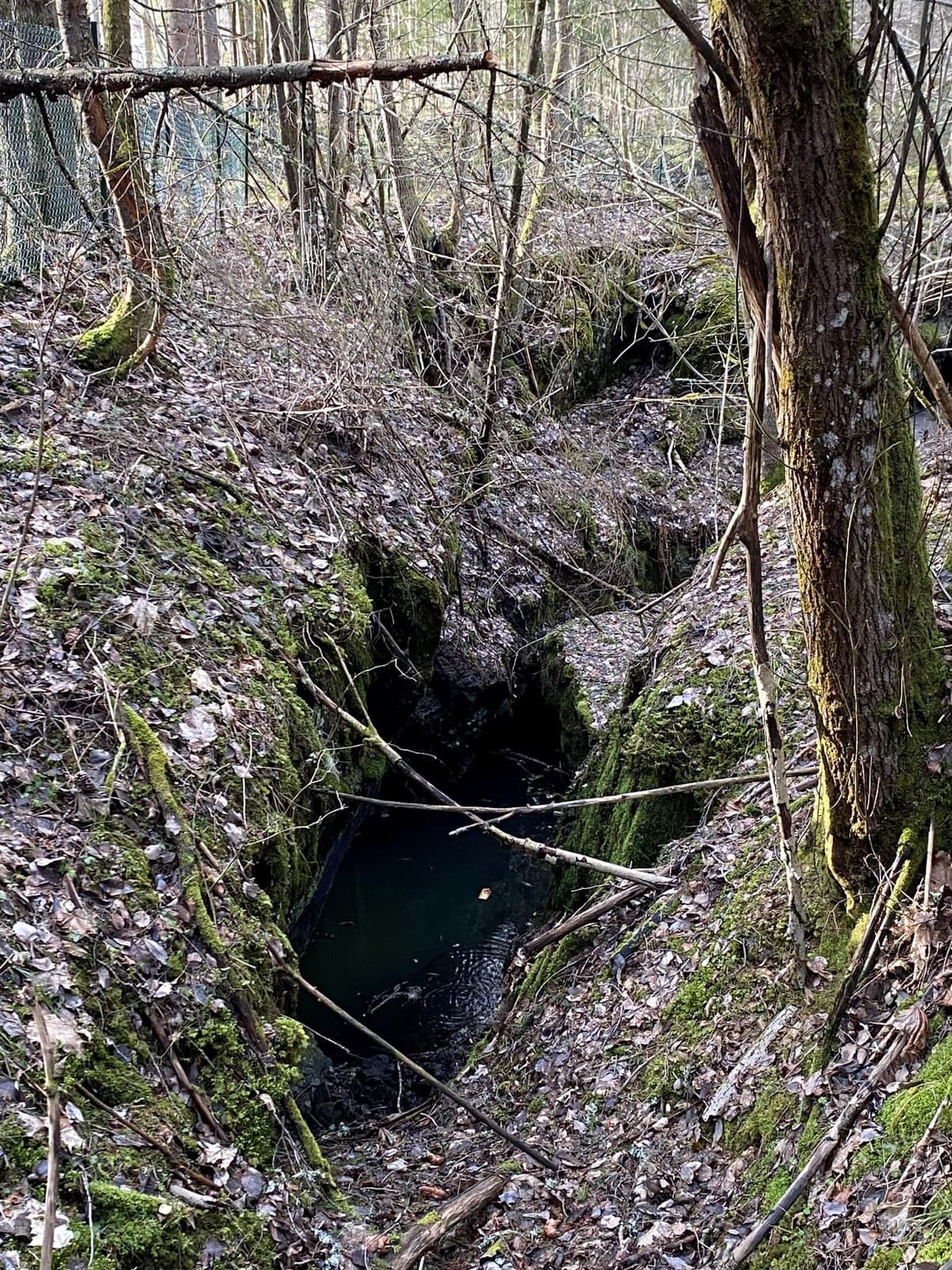 Pajsbergs gruvfält, Harstigen.