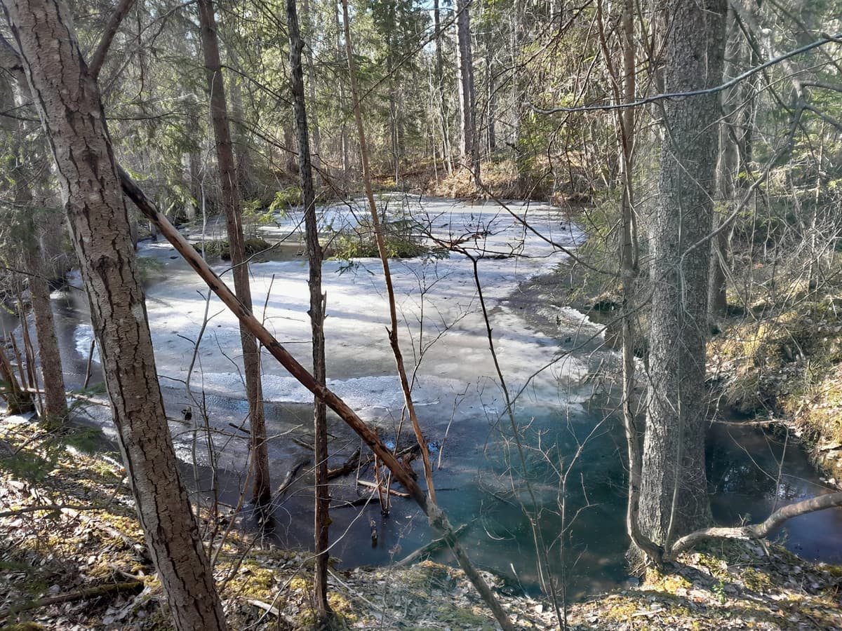 Malmbergskärrs gruvorna